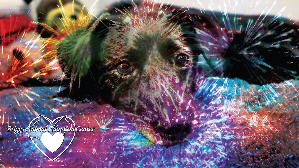 TheBAAC's tweet photo. As we’re getting ready for the 4th this weekend, please be considerate of our animals. Although it's an important holiday, it’s just another day for them. Loud explosions may be fun, but for them, it’s terrifying. Be safe with friends and family out there, including the animals. https://t.co/FHPXL8TkJR