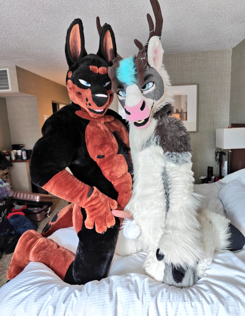 Fluffy Antler Horse 🔜 ANE (@spicyvenison) on Twitter photo Jus a lil teaser for things to cooooom~💦💦
🐕: <a href="/Duke_Doberman/">🥃 ᴰᵤᵏᵉ the 👑 ᴅᴏʙᴇʀᴍᴀɴ</a>
📸: @Play_Michaelous Jus a lil teaser for things to cooooom~💦💦
🐕: <a href="/Duke_Doberman/">🥃 ᴰᵤᵏᵉ the 👑 ᴅᴏʙᴇʀᴍᴀɴ</a>
📸: @Play_Michaelous