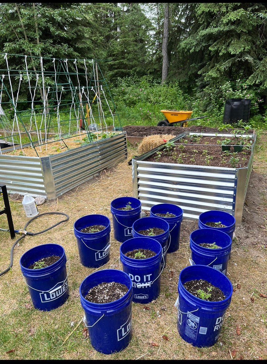 Chupathingy tweet media