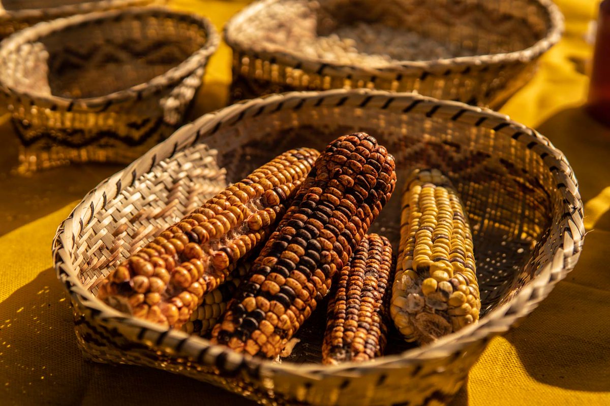 Heñói Centro de Estudios tweet media