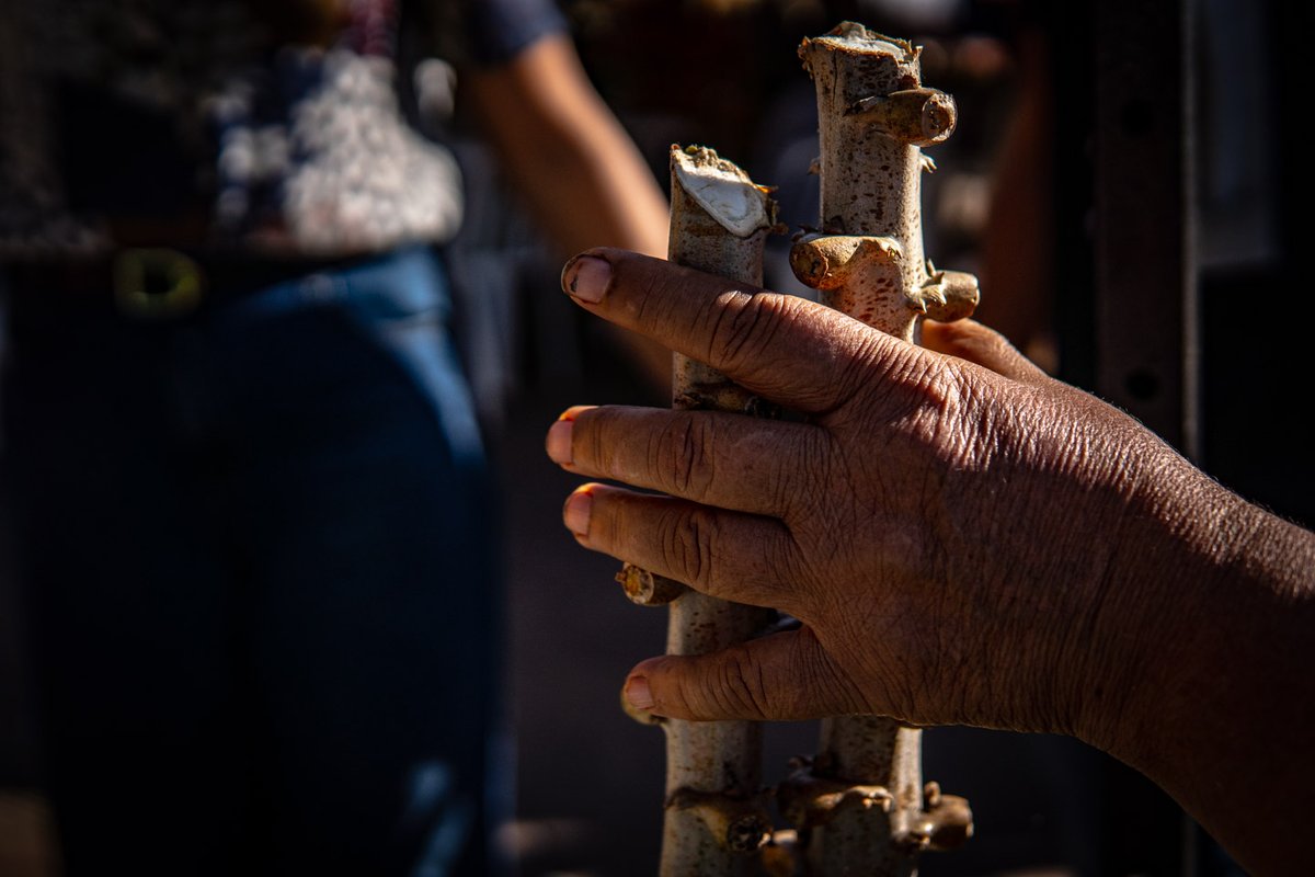 Heñói Centro de Estudios tweet media