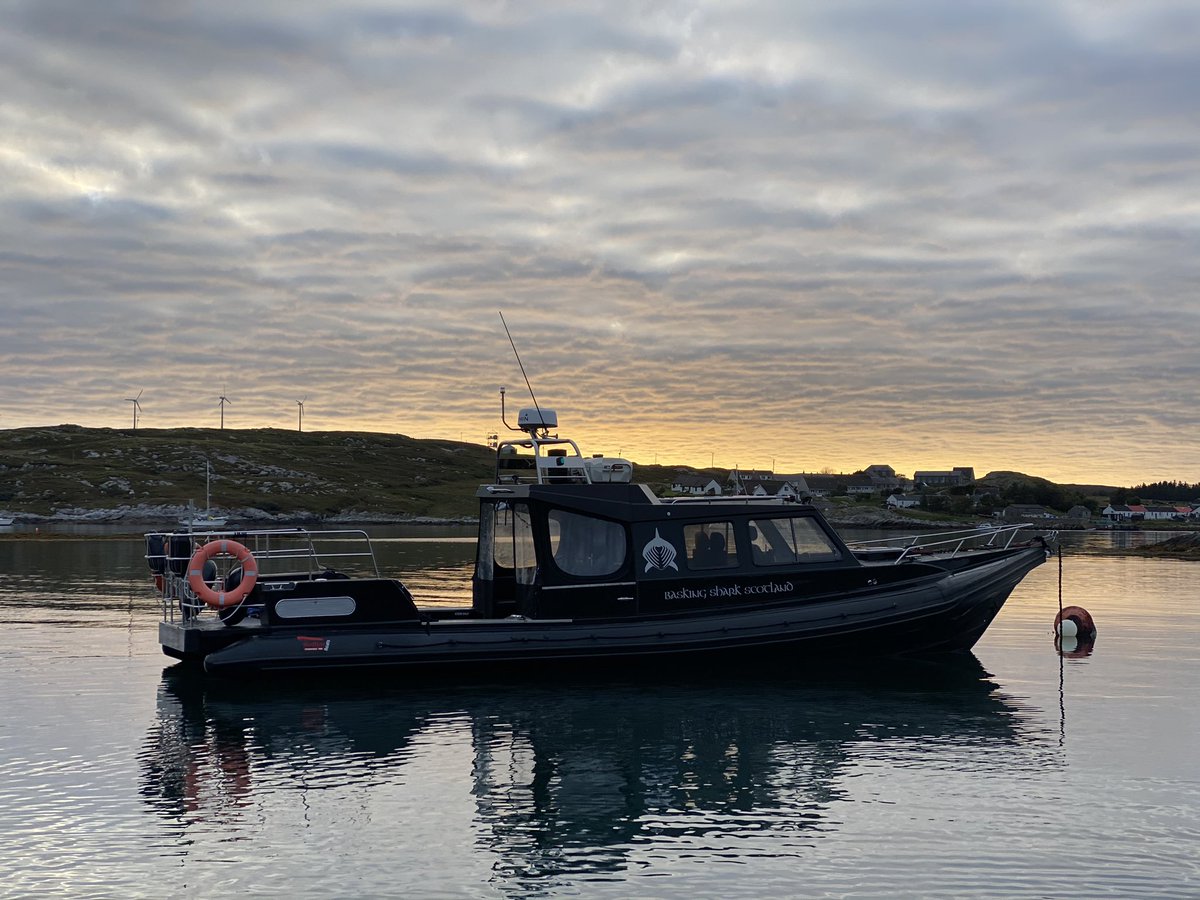 BaskingSharkSco's tweet photo. Our big boat is 5 years old today. Tom brought her over from Redbay to meet us in Campbeltown before heading home to Oban. It’s been some adventure so far.
#teamredbay #rib #boat https://t.co/SpGM3Eip1X