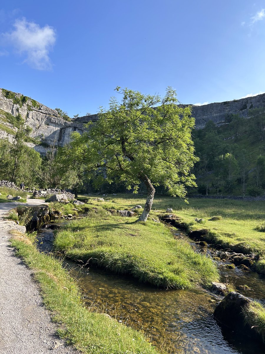SedberghDigital's tweet photo. Some great photos from our year 11βs out on DofE in the beautiful Yorkshire Dales. These are by Isla, Tilly, Evie and Maddy @Robertson_Sed #ChallengeWeek2023 https://t.co/38RQxuEYUv