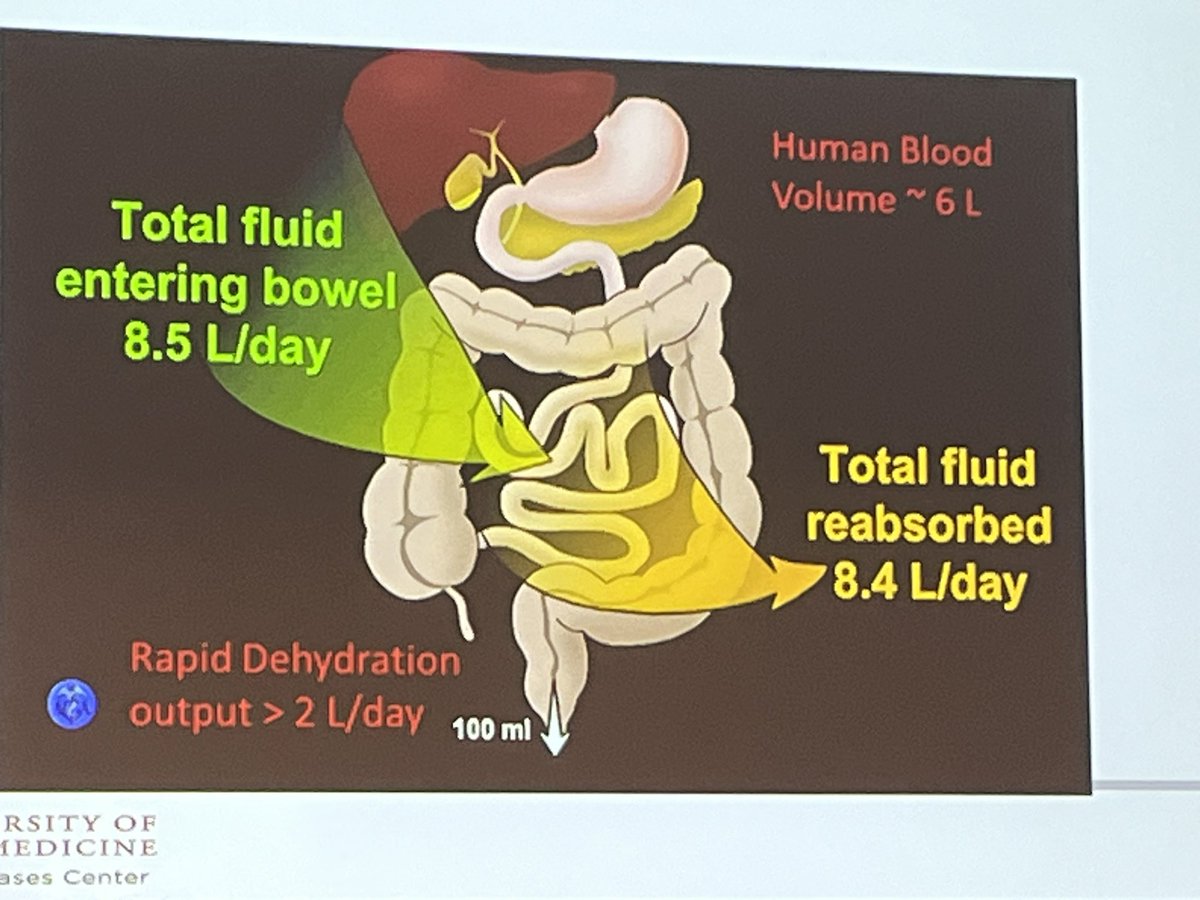 #CIRTA2023 Despite large fluid input into GIT, adults only pass ~200ml of stool daily