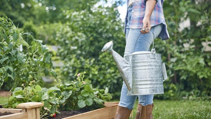 Got raised flower beds in your #homegarden? Here's how to care for the plants in them. #gardenhelp  cpix.me/a/172661580