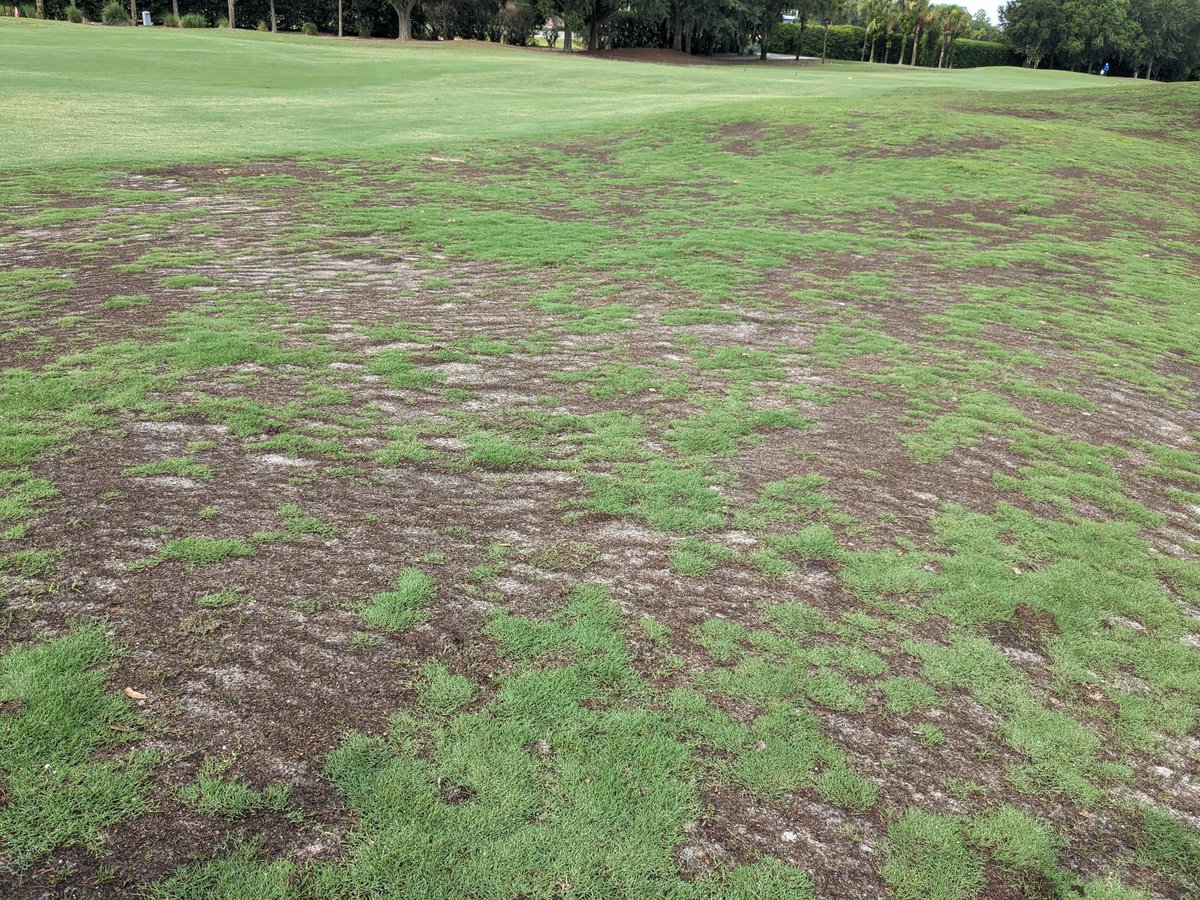 Billy Crow tweet media