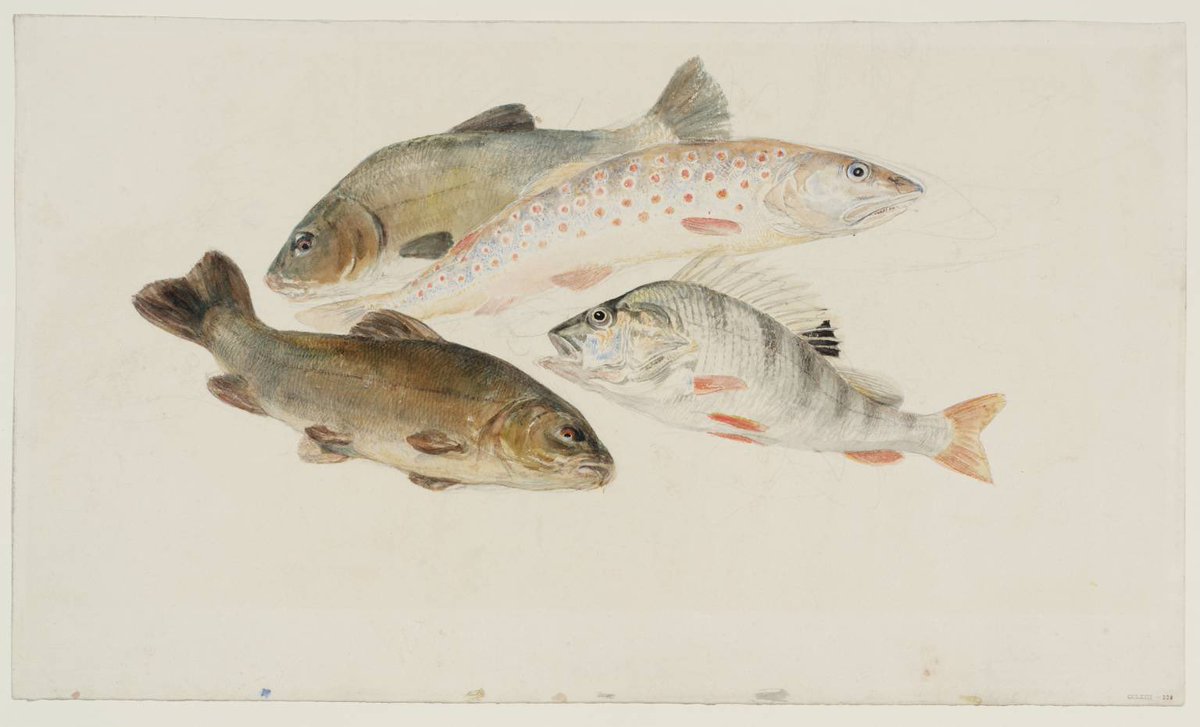 whitegoldsword's tweet image. I think it is highly probable that being a hairdresser &amp;amp; #wigmaker that William Turner senior may have dressed the flies &amp;amp; lures for his son’s #flyfishing. #JMWTurner was a keen #fisherman, as was his friend, #architect &amp;amp; fellow #Professor at the #RoyalAcademy, Sir #JohnSoane.
