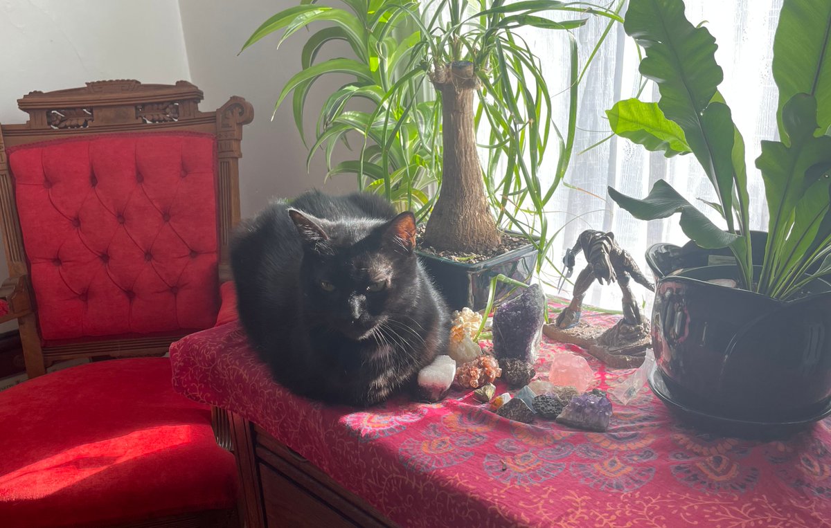 Celebrating 4 years with <a href="/LeahBTynan/">Leah Tynan</a> as well as Zack's 16th birthday today!