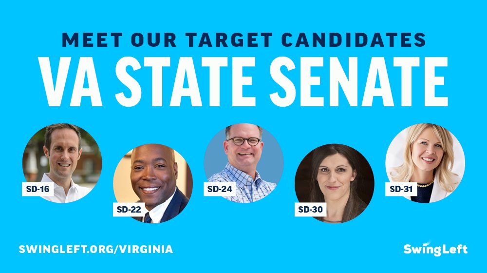 Meet our 2023 VA target candidates! For the VA State Senate, we’re supporting: @ScVanValkenburg (SD-16) @AaronRouseVaBch (SD-22) @SenMMason (SD-24) @pwcdanica (SD-30) @RussetPerry (SD-31)