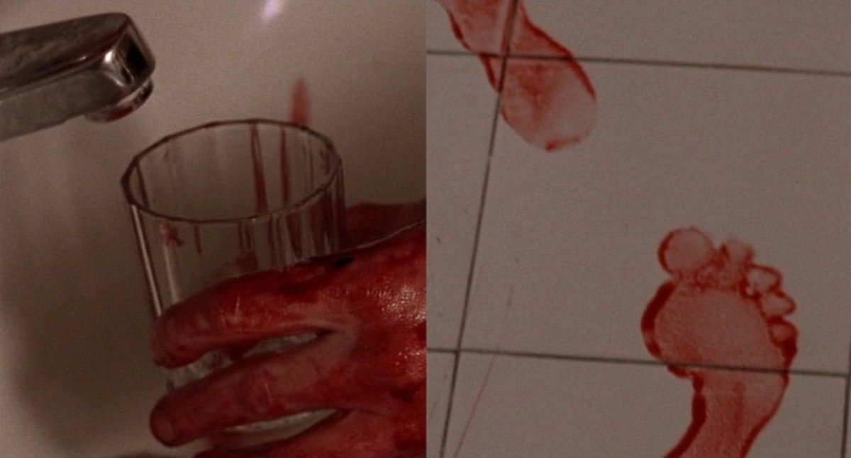 postnuclearjoan's tweet photo. life is worth living because there are always more body horror films about cannibalism directed by french women to discover https://t.co/GEpiZvZYEe