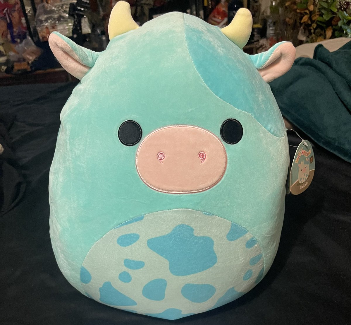 JOONMINTITTIES's tweet photo. Hey guys this is probably random but is anyone Int in purchasing Squishmallows?? I have some for sale !

#squishmallow https://t.co/s11gKaRCWh