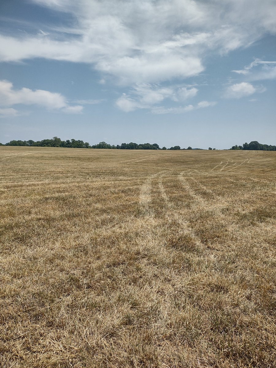 Smith Farm's tweet media