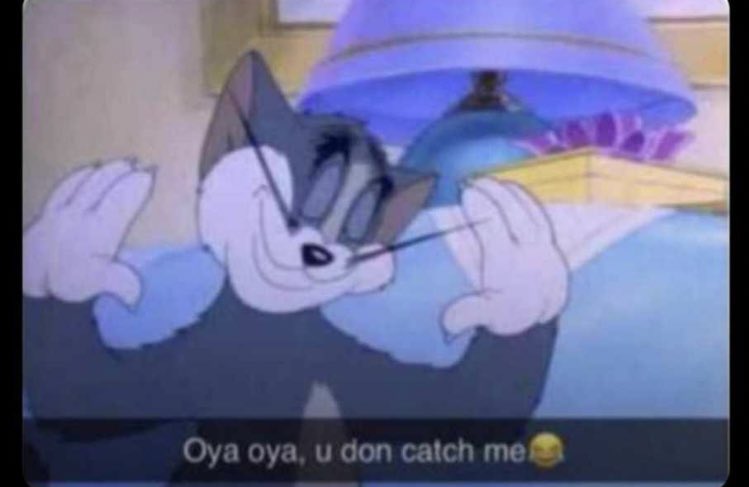 tri_ple__x's tweet photo. When I see a girl a girl with big ass that passes in front of me
Me to the girl: Hey, I think I love you the moment you passed me
Her: Or you want to knack
Me: https://t.co/Zfcea9cx2n