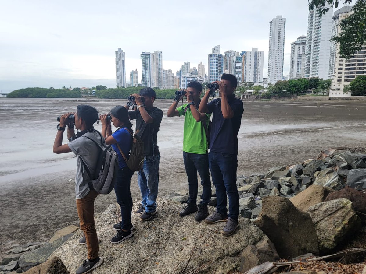 adoptabosque's tweet photo. Tuvimos visita del Grupo de Observadores de Aves de la Comunidad Wounaan de Río Hondo, Chimán.  Premio por su destacada Participación @PanamaBigDay

Tuvieron oportunidad de visitar diferentes ecosistemas y observar muchas especies de aves
Gracias al apoyo de Native Future https://t.co/6ZNBtotzre