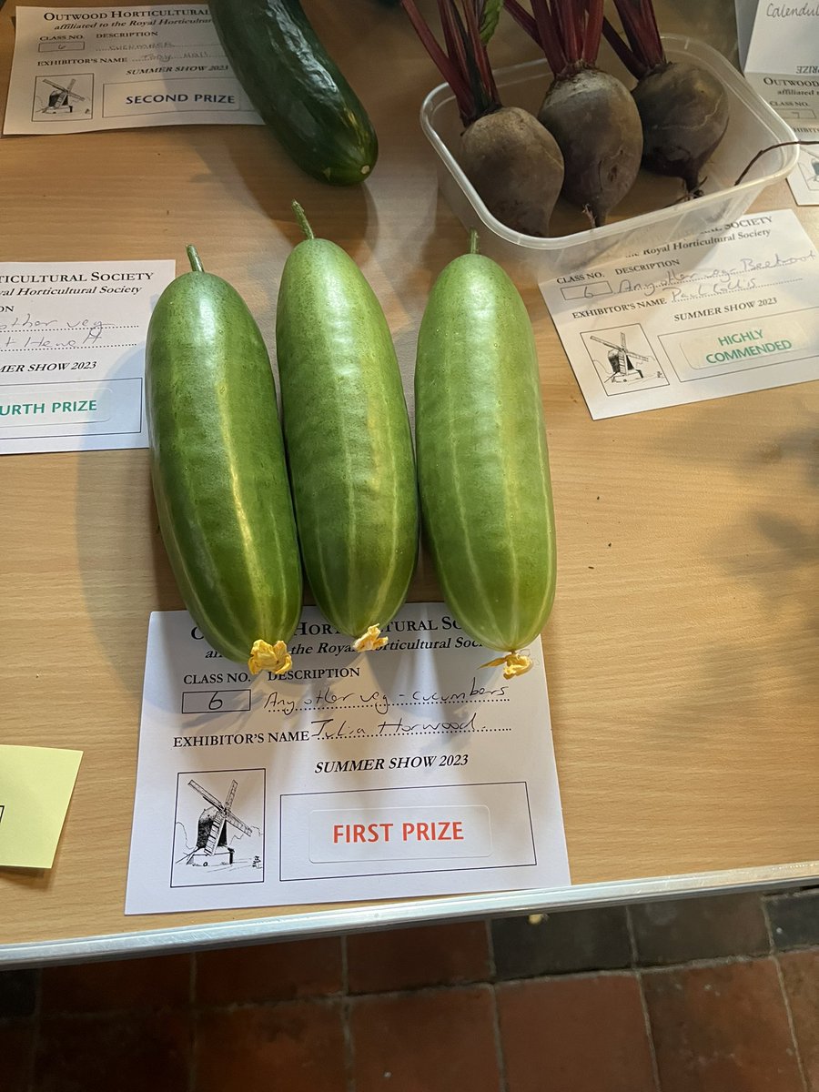 My wife has grown “Diva” cucumbers this year, another of the small varieties. She entered them for our local horticultural show 

#GardenersWorld #shoutyhalfhour