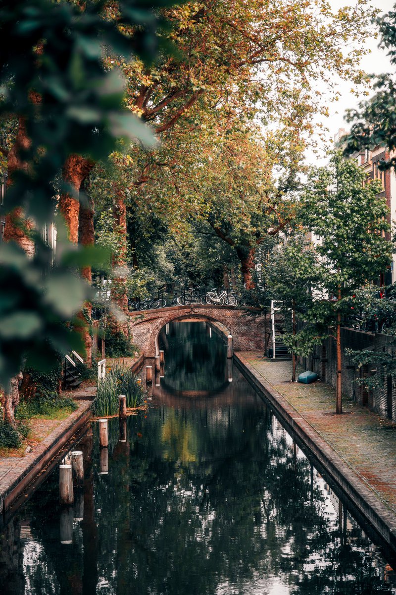 AvecNicole's tweet photo. Quiet canals of the Netherlands 🇳🇱 https://t.co/o0BwyNRTy1