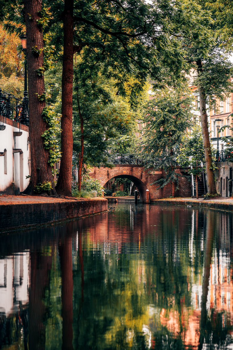 AvecNicole's tweet photo. Quiet canals of the Netherlands 🇳🇱 https://t.co/o0BwyNRTy1