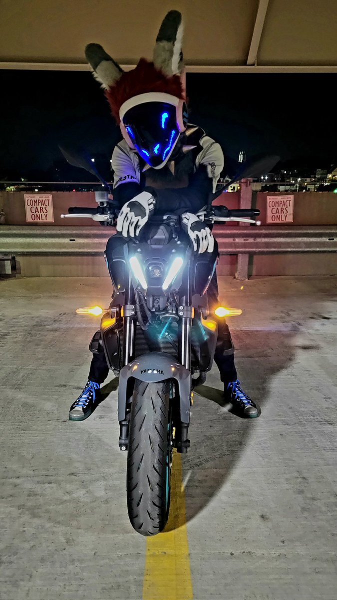 Cyune Ryne tweet media