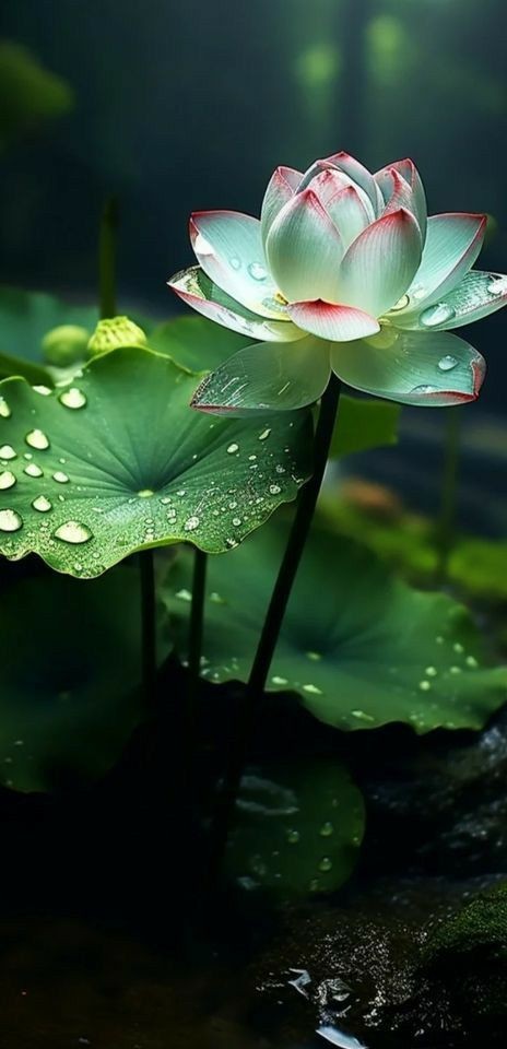 #VIP_FRIENDS⭐

<a href="/ALESXIA_1/">˙●♥ A҉ L҉ E҉ S҉ X҉ I҉ A҉ _҉ 1҉●♥ -</a>
<a href="/MarthaCandia21/">🌼MARTHA CAN🌼</a> 
<a href="/MARTHA_CAN2/">MARTHA 👑</a> 
<a href="/KIACHIARA1/">💜🅲🅷🅸🅰🆁🅰💜</a> 
<a href="/JIMENAC__/">🌸JimenaC__🌸</a> 
🥝
<a href="/iori_sailor/">伊緒里🇯🇵のセーラー服𝟮𝗻𝗱🍥⏰🦄🥥🌸🍒🇫🇷</a> 
<a href="/nuvisionquestt2/">🦅Nu_Vision_Quest_Type2🏹</a> 
<a href="/ElisValgar/">Meryem Kara</a> 
<a href="/macketh74/">MaCk.Eth  𝕏</a>
<a href="/lumpie125/">lumpie125</a>
<a href="/75suhair/">_. suhair Al_jumaili</a> 
<a href="/1TGQ2/">TG</a> 
<a href="/jusevar25/">Juan serrano Vargas</a> 
<a href="/jemaco/">Jean M. Colleoni</a>
<a href="/seraichiban3/">伊緒里のセーラー服🇯🇵🍥⏰🦄🌈🇫🇷🍒🌸💫</a> 
<a href="/Siogo61/">@siogo61</a> 
<a href="/bluea125/">BlueA125</a> 
<a href="/2_Kevin59/">Pruto🪝🔗🩸</a>
<a href="/nuvisionquestt3/">🦅NU_VISION_QUEST_TYPE3🏹</a> 
@GRAHAM15583070