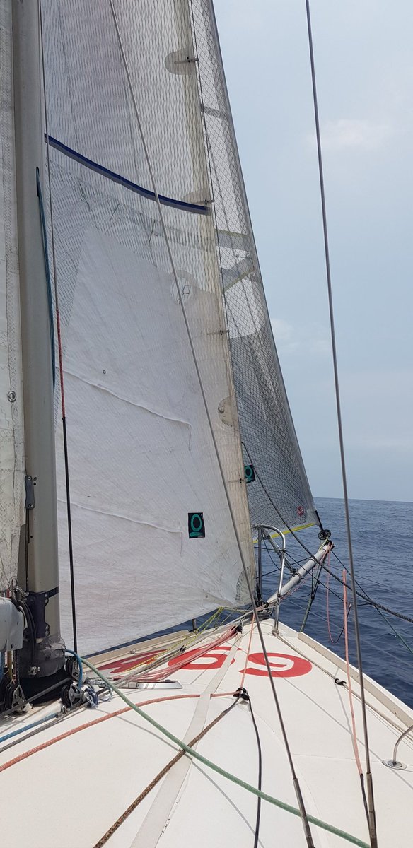 CChiama's tweet photo. Due giornate di formazione alla Mini 6,50 Academy organizzata da @ClasseminiIT e grazie alla @federvela. Due belle giornate di sport e marineria, grazie anche agli sponsor @PortofinoGin e #Ropeyerevolution https://t.co/bgSjC8jeQQ