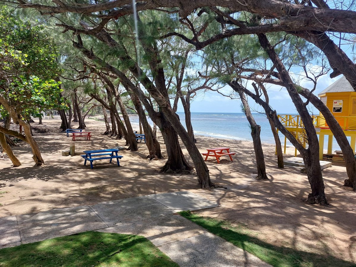 Beach picnic in Barbados anyone 
#barbados #picnic