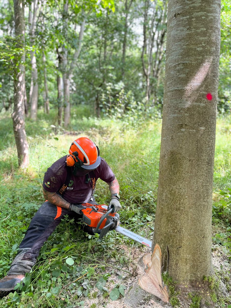 GreenwayTrainer's tweet photo. Exceptionally good candidates on this week’s felling course. https://t.co/NEVwEX9NMR
