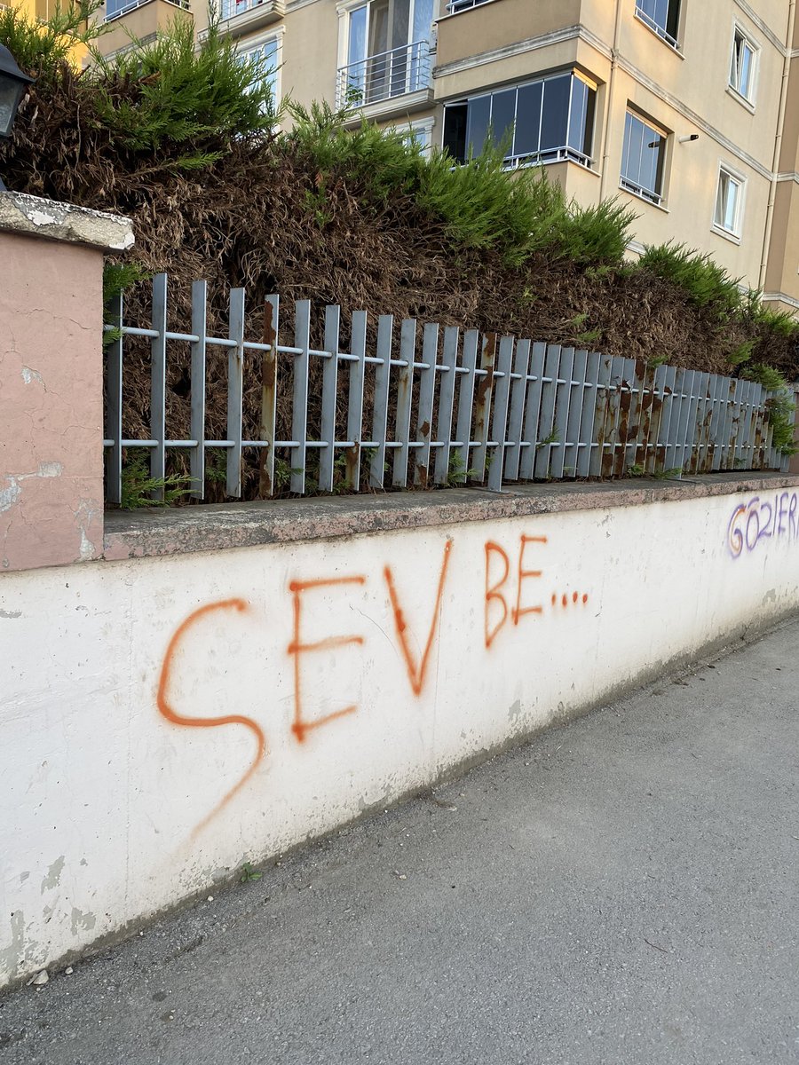 Hamza Dönmez (@hmzdnmz) on Twitter photo 