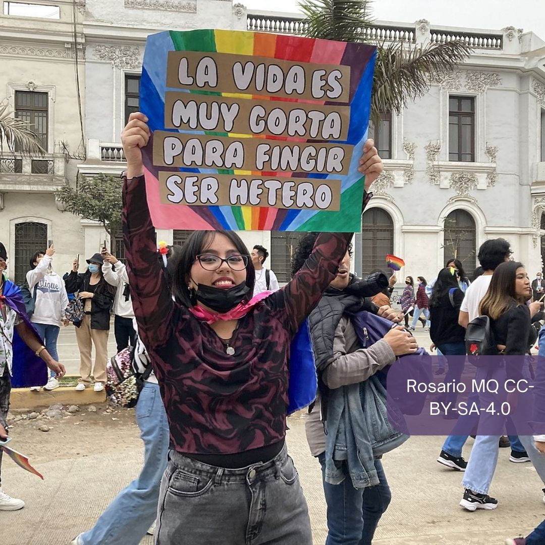 WikimediaPE's tweet photo. Recuerdos de la Marcha del orgullo LGBT 2022 en Perú.
Mañana en Campo de Marte se realizará la Marcha del Orgullo en Lima 2023. Los esperamos!
#lgbt #lima #peru #wikimediaperu #unmsm https://t.co/UBIJD0eJ2q