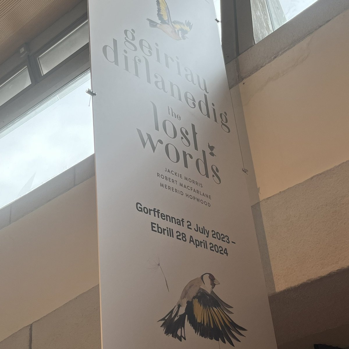 Oriel y Parc tweet media