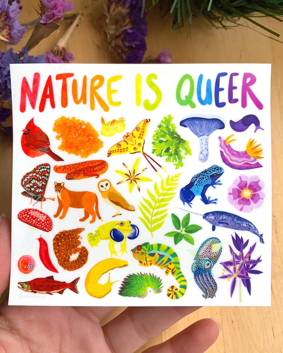 Alena Ebeling-Schuld (Owl & Bear Studio) tweet media