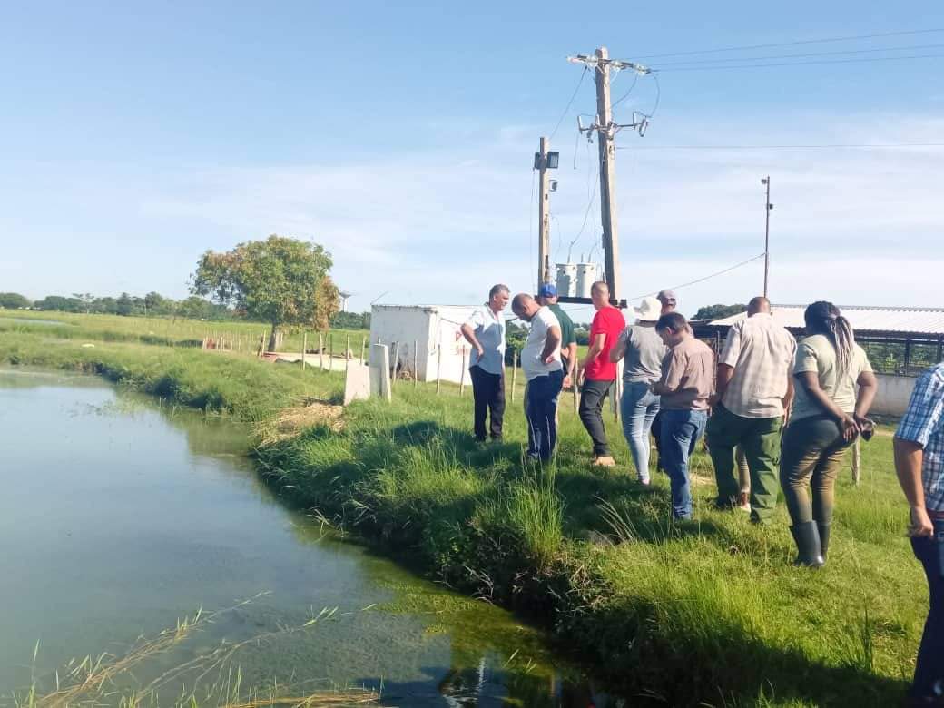 #Hoy junto a las autoridades Gubernamentales y Partidistas del municipio de #Colón visitamos productores e intercambiamos sobre las potencialidades y el orden del destino de los productos, para que estos lleguen a nuestro pueblo con mejores precios y calidad.
#CubaViveYTrabaja