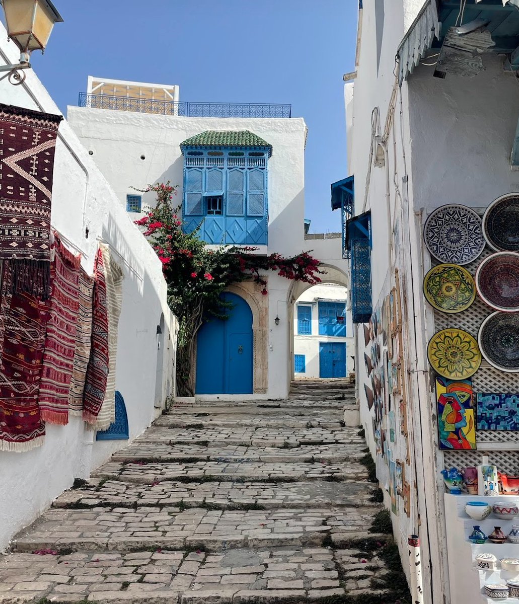 FourTickets's tweet photo. One week ago, we were in beautiful Sidi Bou Said, Tunisia. It was an unexpected surprise. I am so glad we experienced this amazing city &amp; country! #cruise #Tunisian #africa #explore #blogger #travelphotography #traveling #camelride https://t.co/RvE9Y3Kjhl