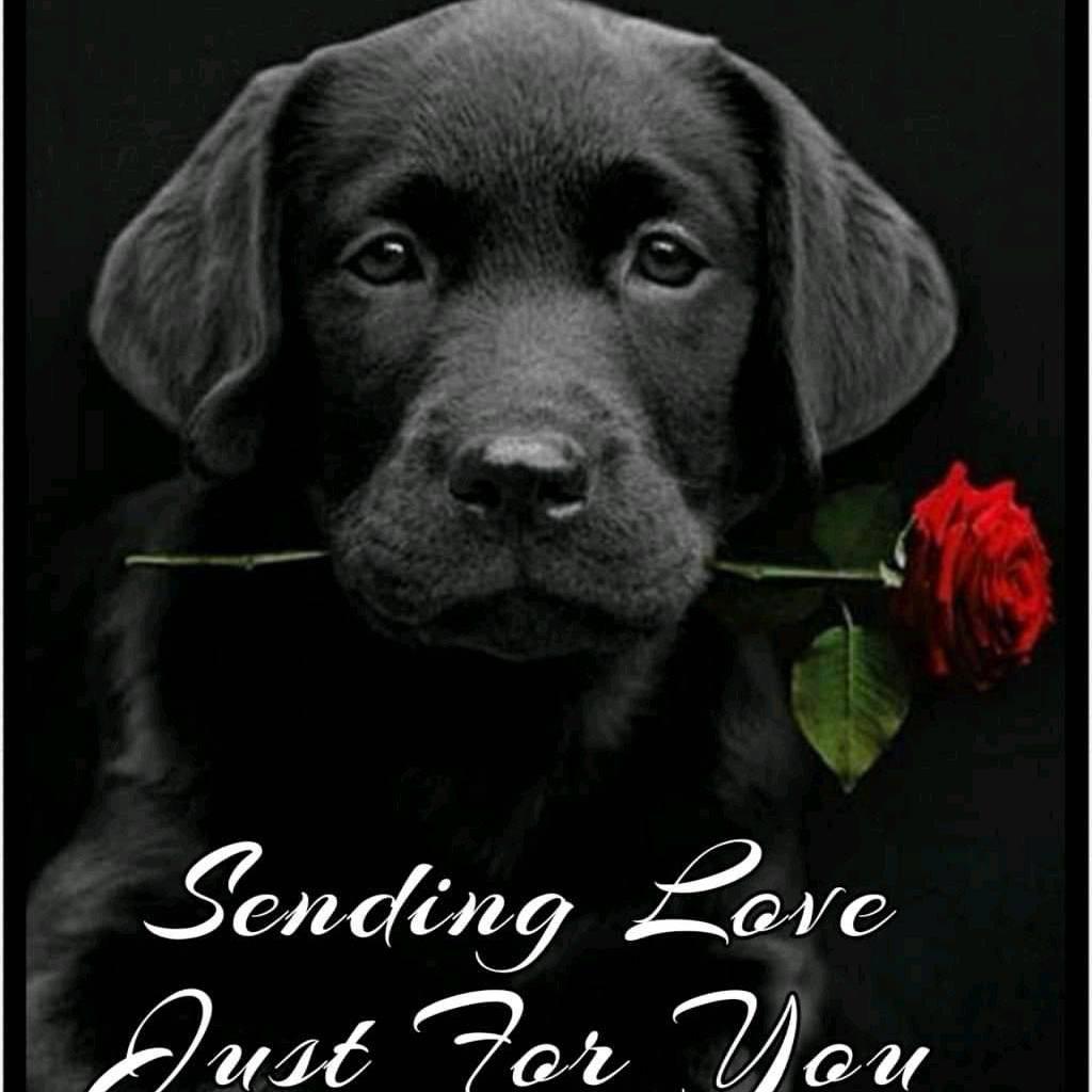 Kenn Eth (@kenneth20135673) on Twitter photo 