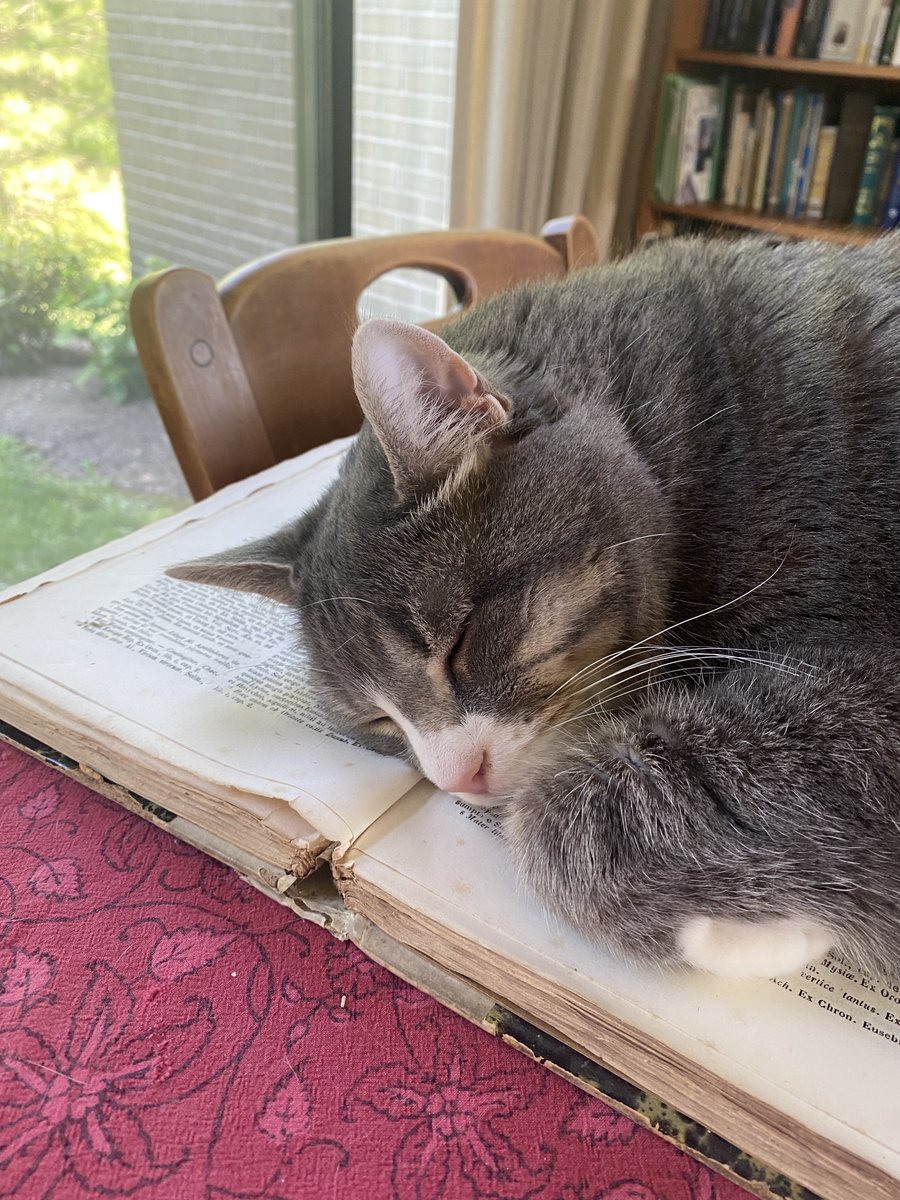 And now, the episode that three of you were waiting for, the one where we read an encyclopedia! Oh, but Isidore's Etymologies are so much more than that — maybe we'll convince that this book is something special.

megaphonic.fm/spouter/69