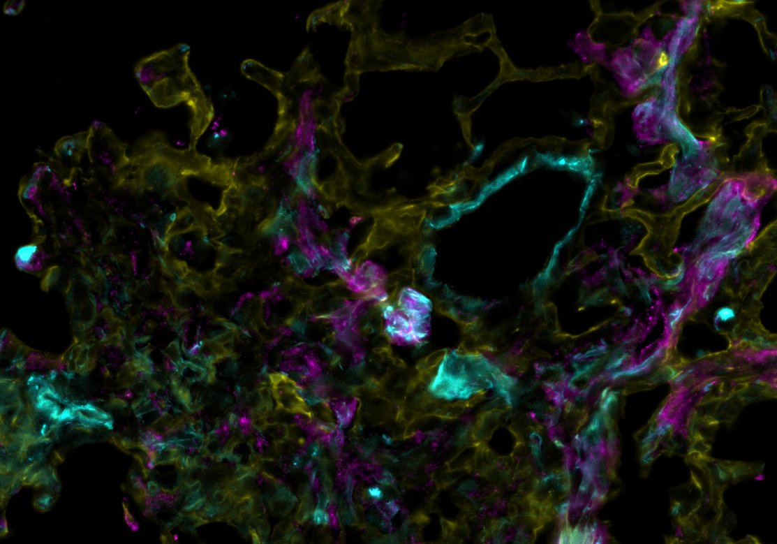 It's been too long, mon amis! Happy #FluorescenceFriday