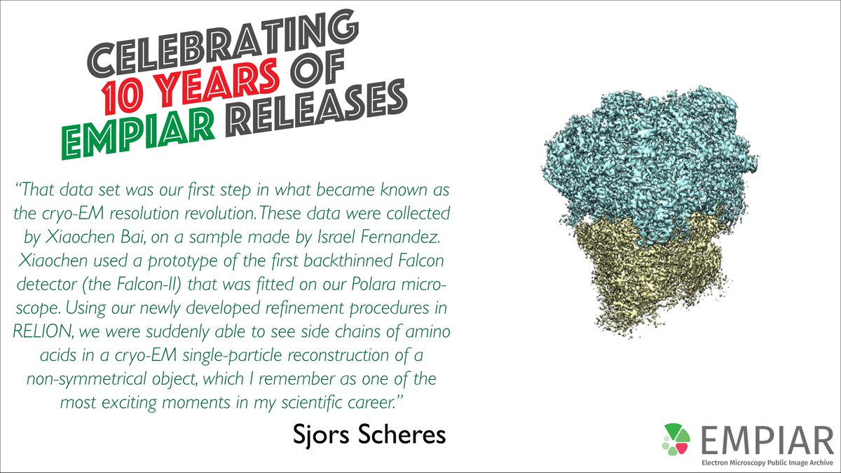 EMDB_EMPIAR's tweet photo. #EMPIAR10 celebrates 10 years of releases! Contribution by @SjorsScheres from @MRC_LMB. Sample made by @IsraelF96135088 & #CryoEM data collected by @XiaochenBai for processing in #RELION
https://t.co/MkyVtzVzix
Paper: https://t.co/thJD27zssY
https://t.co/dpEP8nPWpw
#OpenScience https://t.co/M0WtvyUl0A