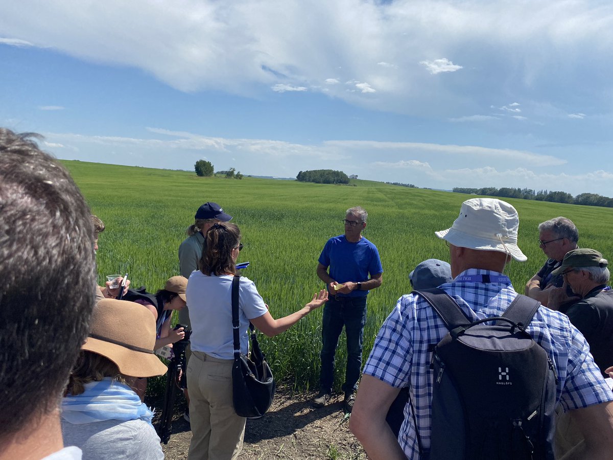 Talking disease scouting in malt barley at Hamil Farms
<a href="/IFAJ2023/">IFAJ 2023 World Congress</a> #ifaj23