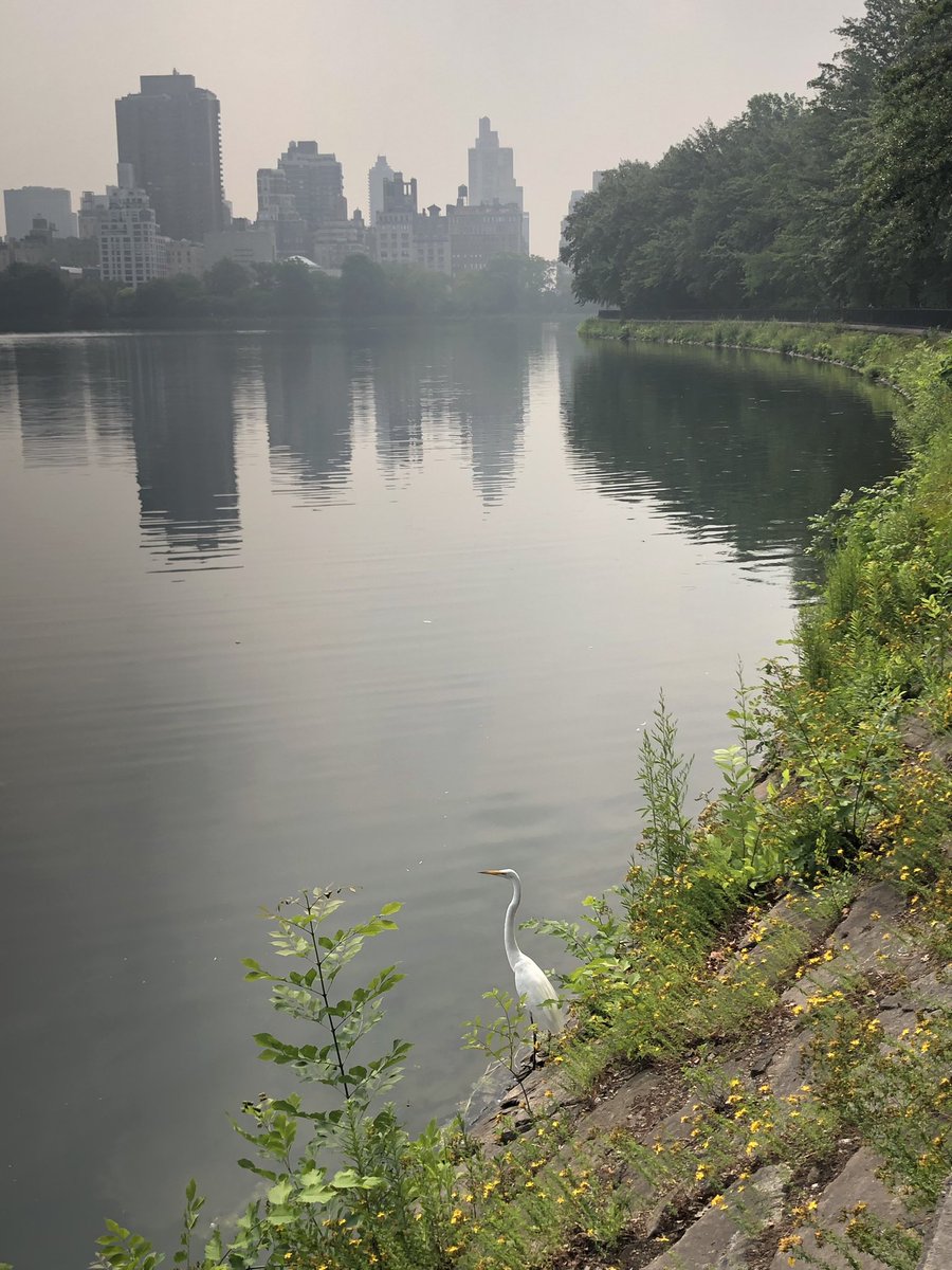 Tina Anderson tweet media