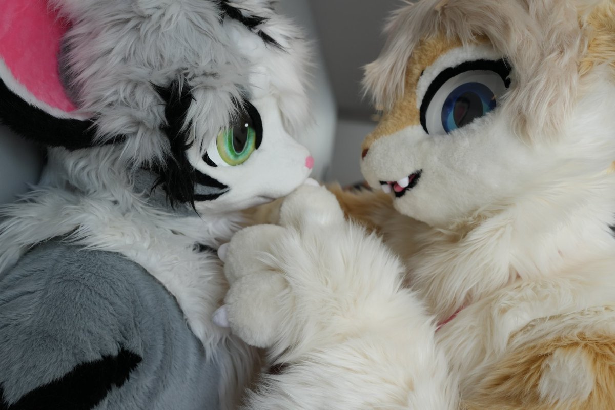 Faeki_dk tweet media