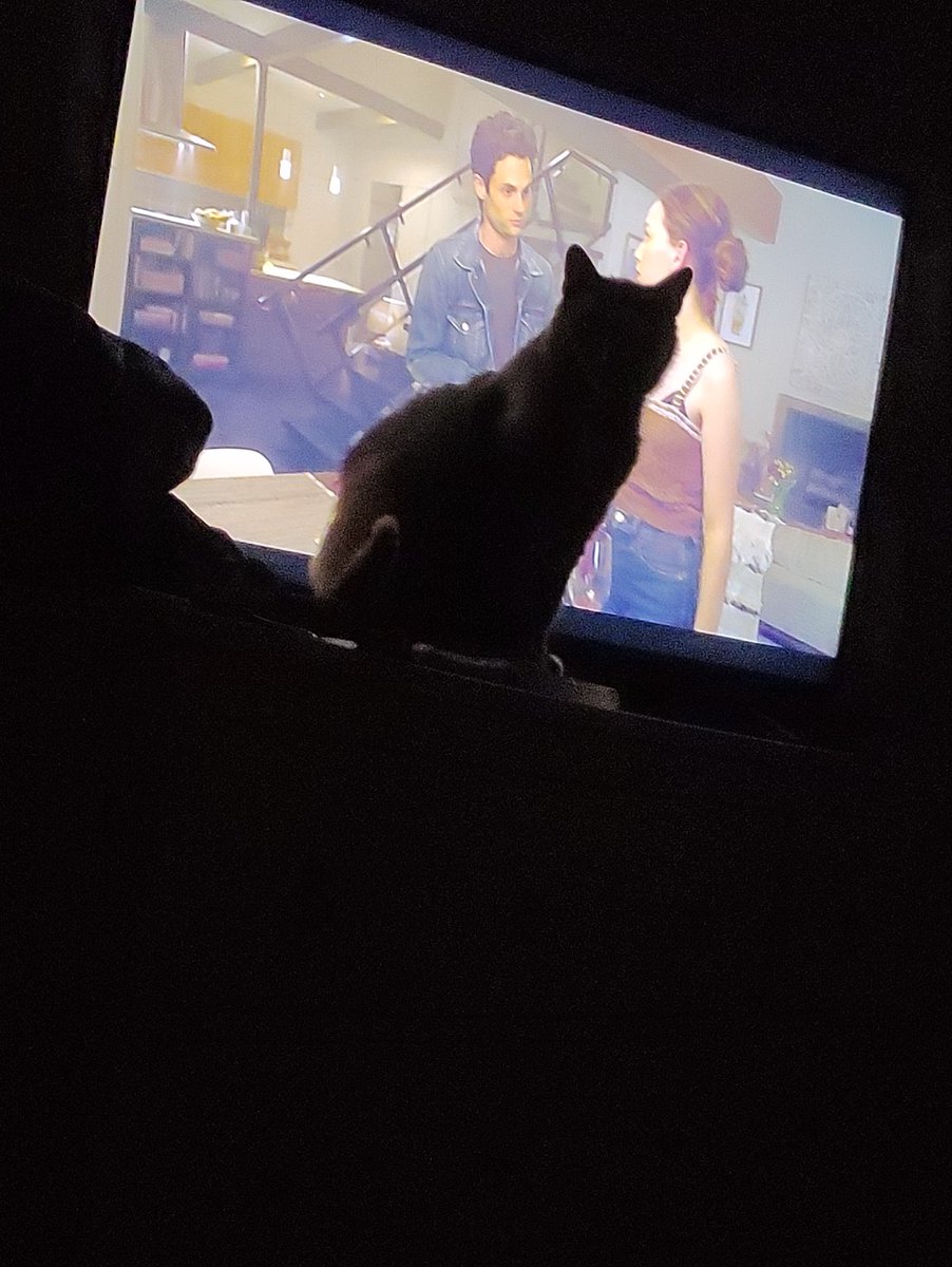 cozzapermalosa's tweet photo. I gatti sono perfette spie, non si fanno mai beccare... https://t.co/oNaKK2VsxB