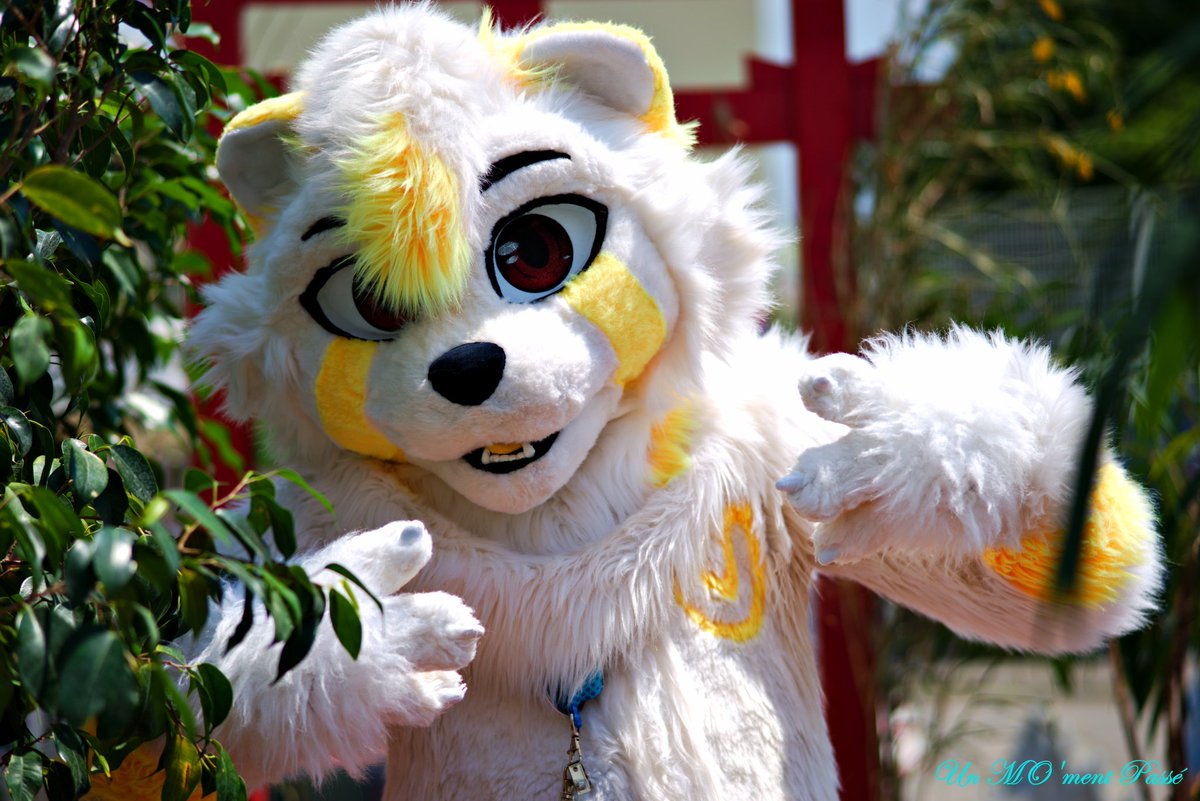 MatPaws's tweet image. ꧁╭⊱🄷🄴🄻🄻🄾 ⊱╮꧂

Matsu, Transgender (he/him), French, furry, Red panda 🐼💛, chaotic but sometimes nice person (maybe ?) 🍁 FFXIV lover 💫

Hear. Feel. Think.
 
✂️ @nyaamiou
📸 Mohamed Mazouz (Instagram)