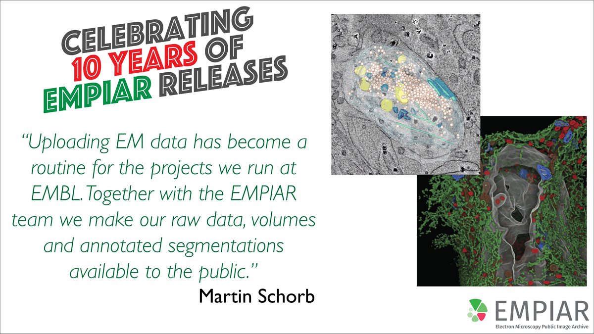EMDB_EMPIAR's tweet photo. #EMPIAR10 celebrates 10 years of releases! Contribution by Martin Schorb from @EMBLHeidelberg.
https://t.co/SREbFnVCmC
https://t.co/D39TcQjRit
https://t.co/dpEP8nQuf4
#VolumeEM #XRM #OpenScience #SBFSEM #FIBSEM #CryoET #CryoEM #MicroED #DeepLearning #BigData #OpenScience https://t.co/eMgeIuLute