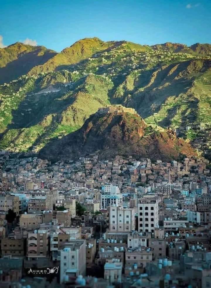 tftlj's tweet photo. #البردوني 

ذات يومٍ ستشرقين بلا وعدٍ
تعيدين للهشيمِ النضارة
تزرعين الحنانَ في كل وادٍ
وطريقٍ في كل سوقٍ وحارة
في مدى كل شرفةٍ في تمني
كل جارٍ وفي هوى كل جارة
سوف تأتين كالنبوءات كالأمطار
كالصيف كانثيال الغضارة
تملئين الوجودَ عدلاً رَخيا
بعد جورٍ مدججٍ بالحقارة https://t.co/o2LJpXCrXP