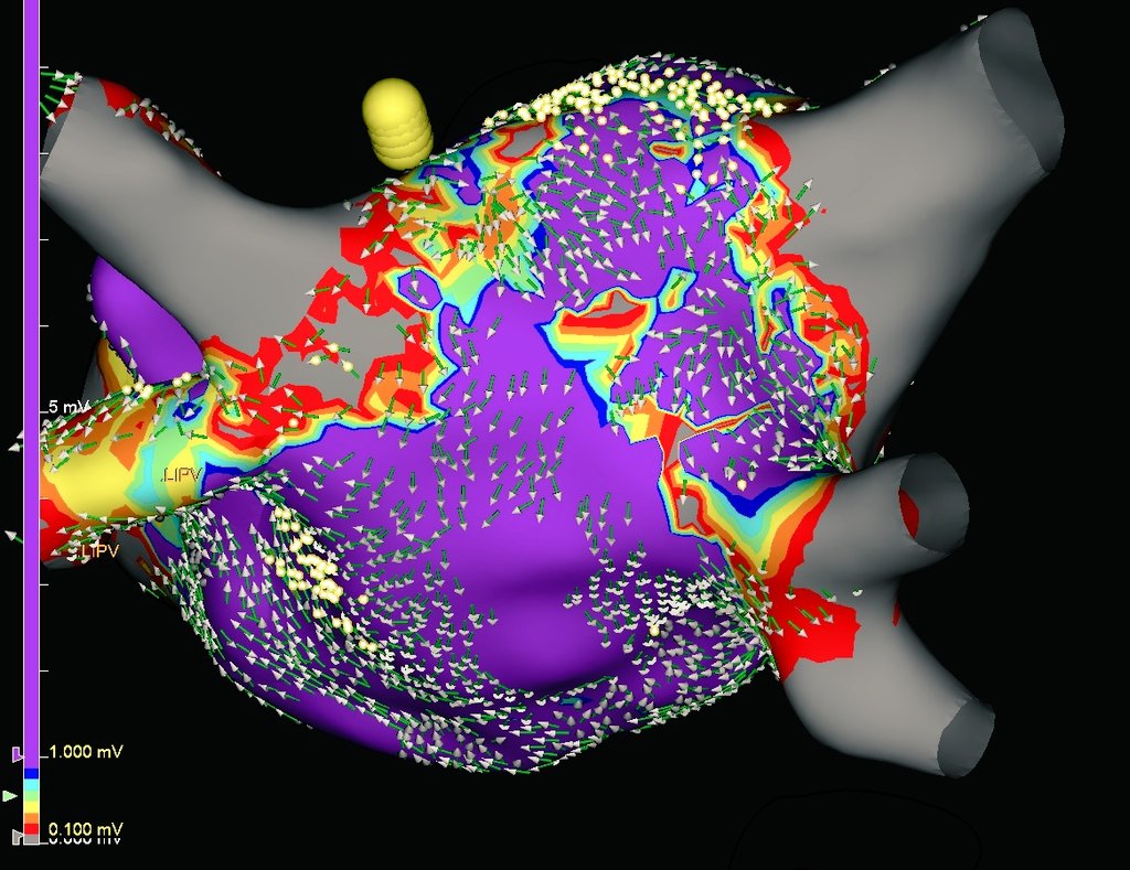 Josh Shriver tweet media