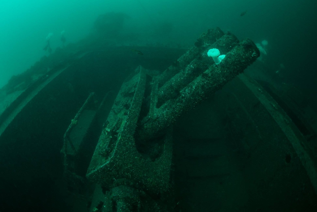 The HMCS Columbia is one of our favorite dive sites. It's a perfect depth for getting that deep time and navigation practice, all while taking in its stunning wreck. 

#wreckdiving #instadive #scubadivinglife #divingisfun #sharevi #explorevancouverisland #campbellriver