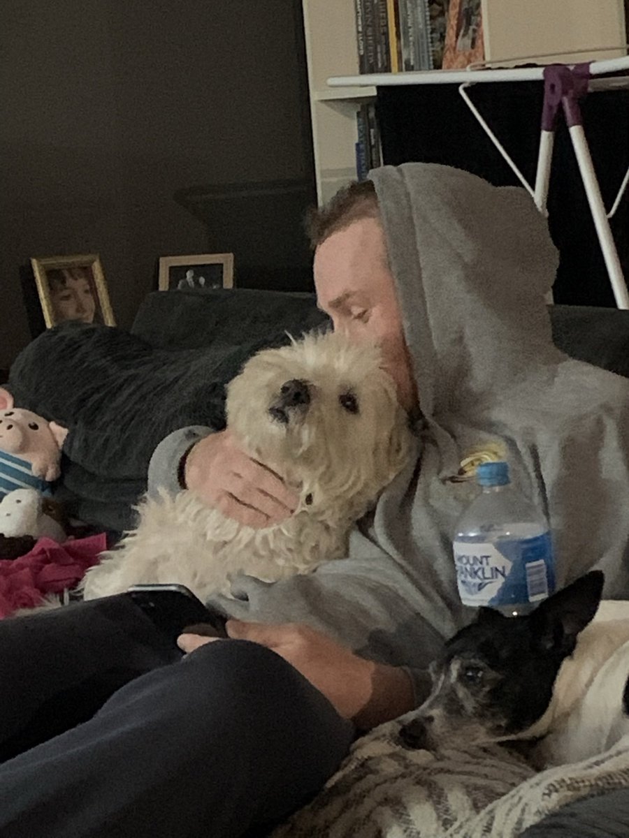 Hi friends it’s my second gotcha day! I love it here and they love me ❤️ snowy <a href="/RokisRace/">Maria #BringScruffyHome🇺🇦🇮🇱</a> <a href="/hooterboy/">Oswald</a> <a href="/WonderWilbur/">Wilbur the Wonder & Ernie the Explorer</a> <a href="/willamhariett/">Harriet & Matilda 🇦🇺..Fred & Eddie 🌈💔</a>