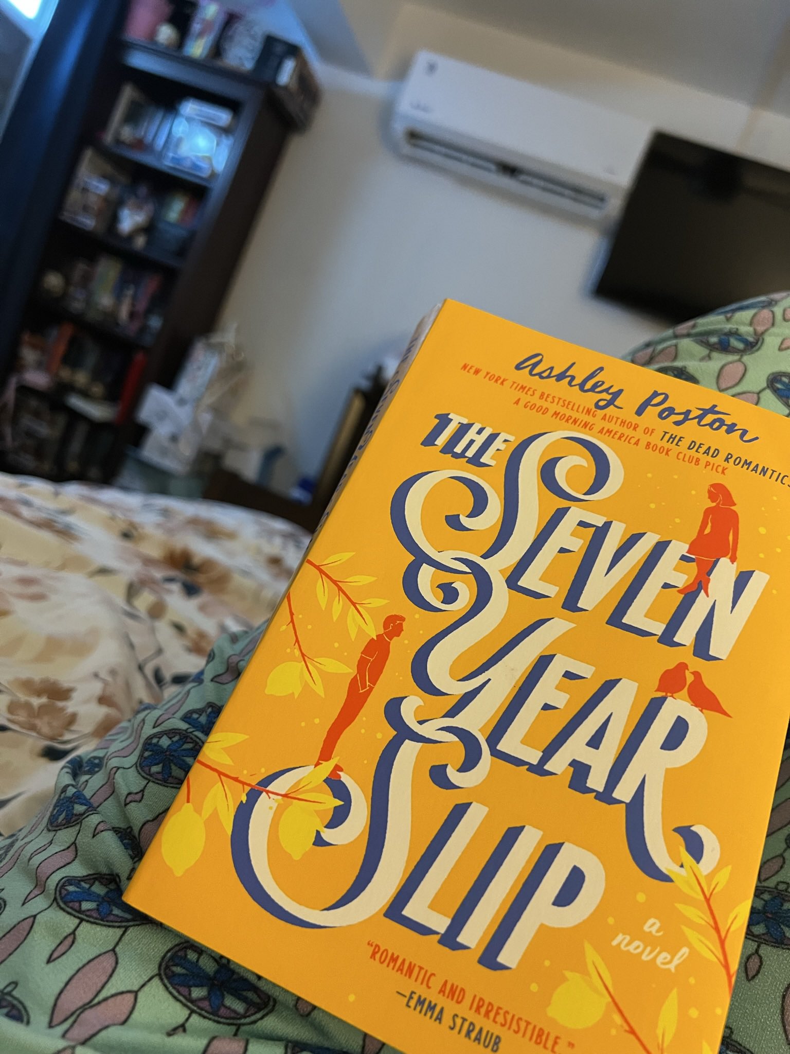 Quick book review! The Seven Year Slip by Ashley Poston. This book