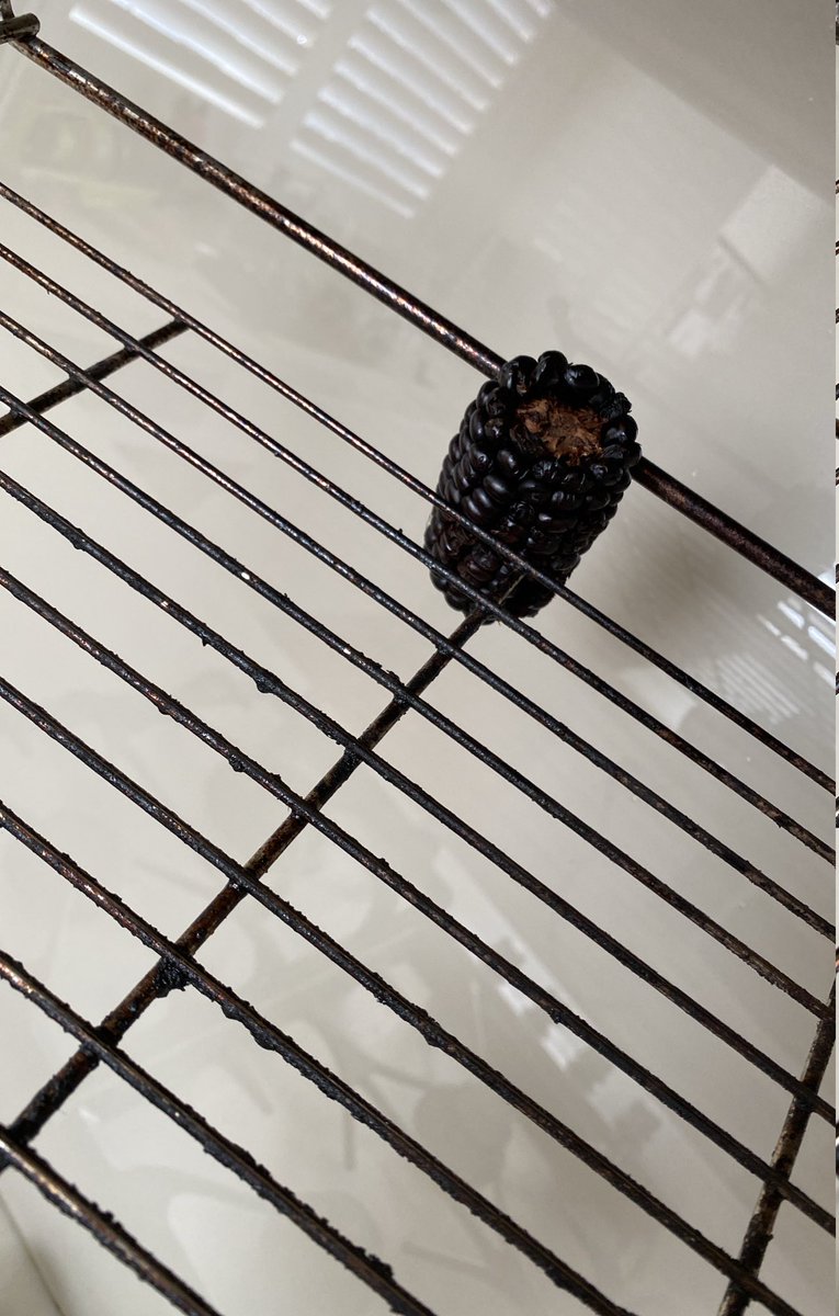 Jules Morrow (@julesmorrow) on Twitter photo Accidental culinary experiment discovered in the back of the oven. Is this what they call Charred Corn? Accidental culinary experiment discovered in the back of the oven. Is this what they call Charred Corn?