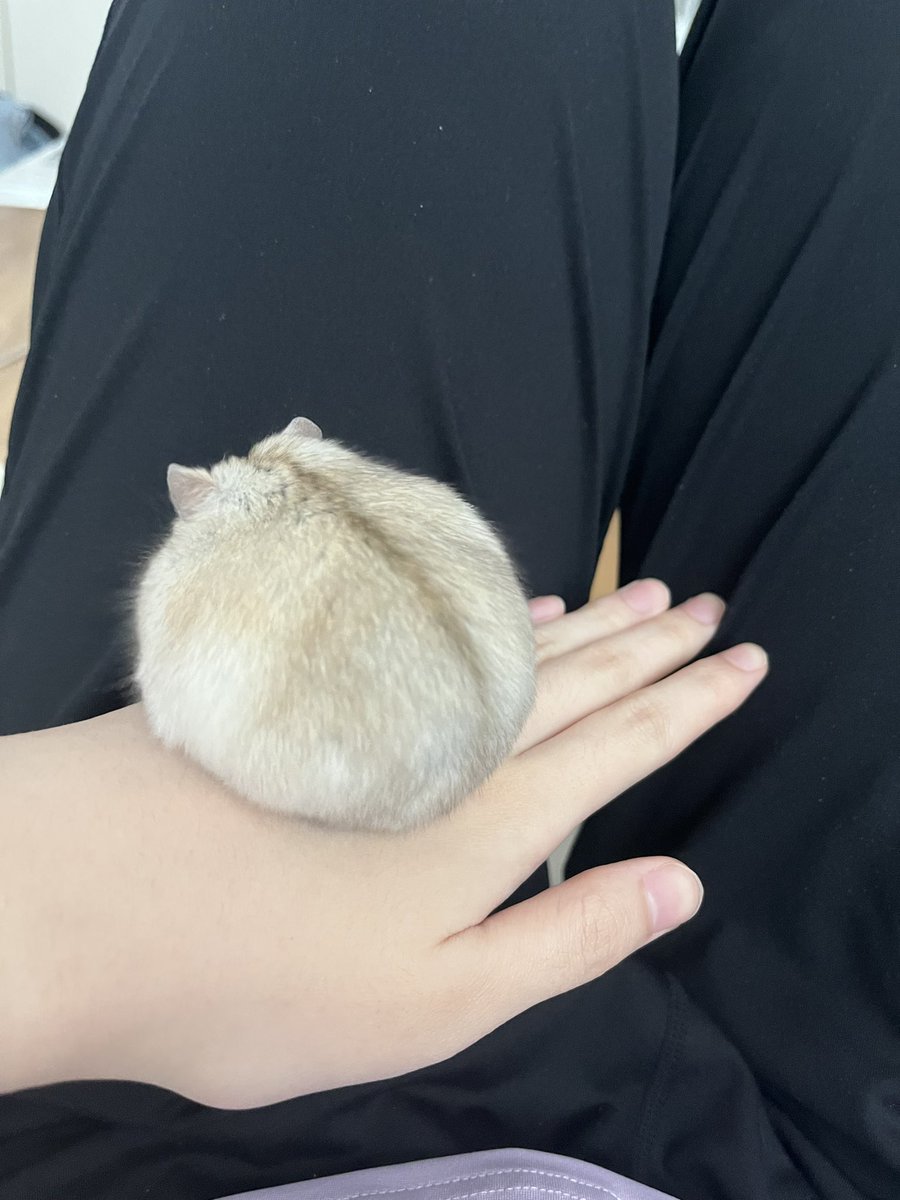 손등에 쥐엉덩이