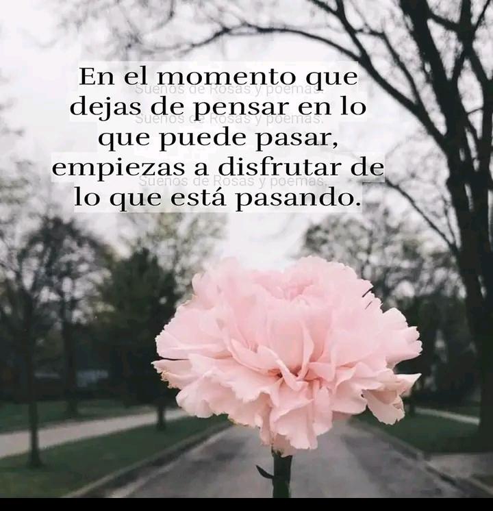 El amor es un misterio. Un vínculo difícil y maravilloso que compromete todo lo que somos: nuestros anhelos, nuestros miedos, nuestra historia misma. #UnVeranoPara #DeZurdaTeam #MambisesDeAcero